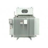 Petrochemical power transformer